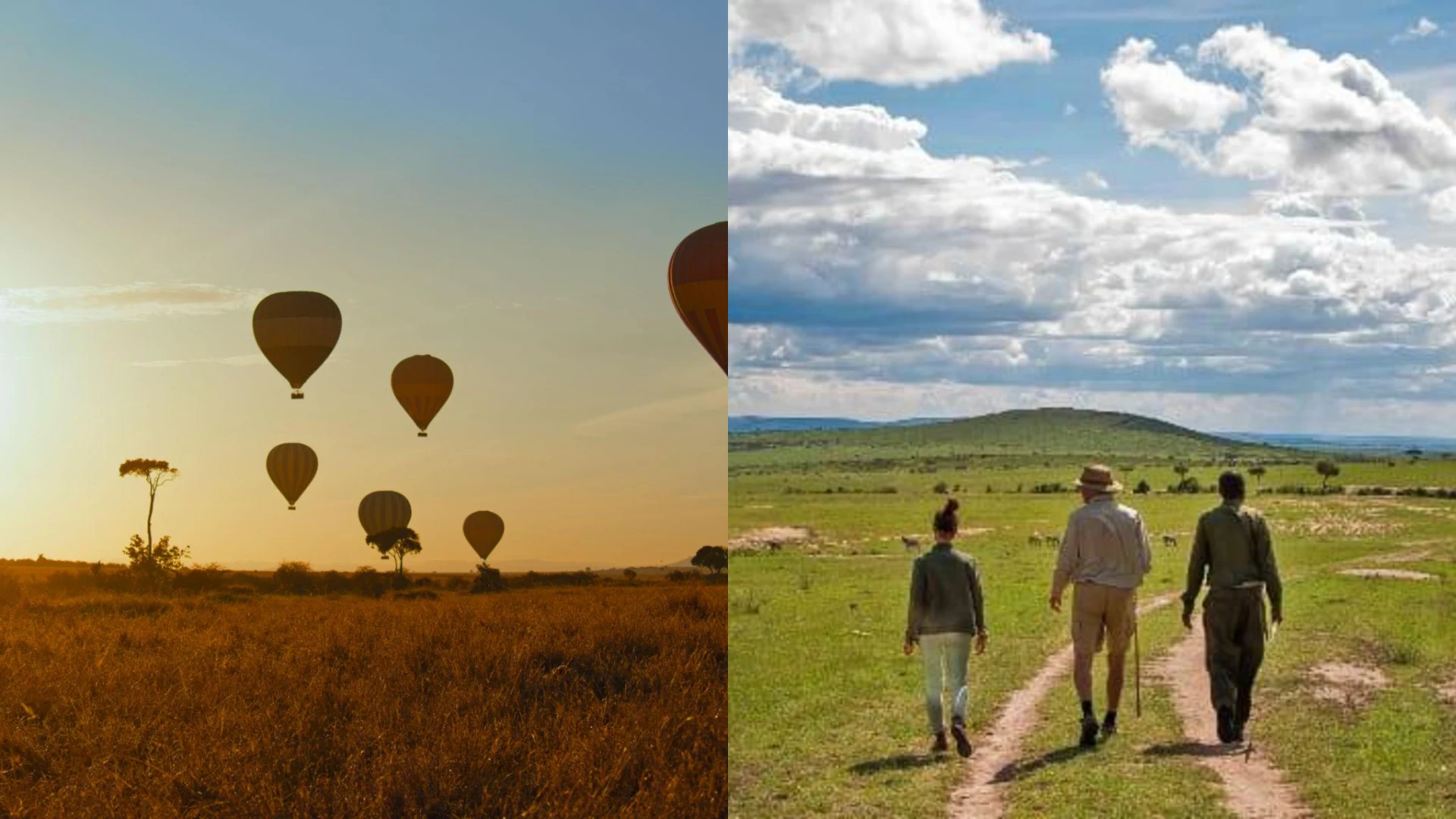 Hot air balloon and walking safari in masai mara national reserve